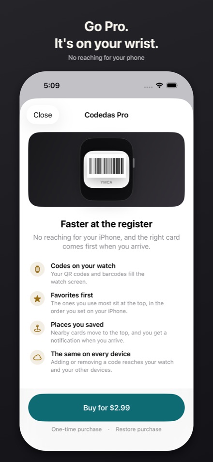 The Codedas Pro screen, listing what the one-time purchase unlocks